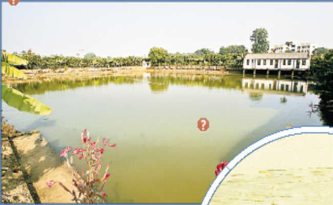 भागलपुर : सैंडिस में लगेगा मेला, विज्ञान केंद्र में सजाया जा रहा तालाब, सीएम करेंगे दौरा, प्रशासन मुस्तैद