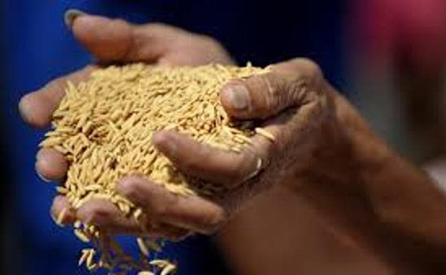 NITI आयोग की चेतावनी : खतरे में खाद्य सुरक्षा, जल्द करने होंगे उपाय NITI आयोग की चेतावनी : खतरे में खाद्य सुरक्षा, जल्द करने होंगे उपाय