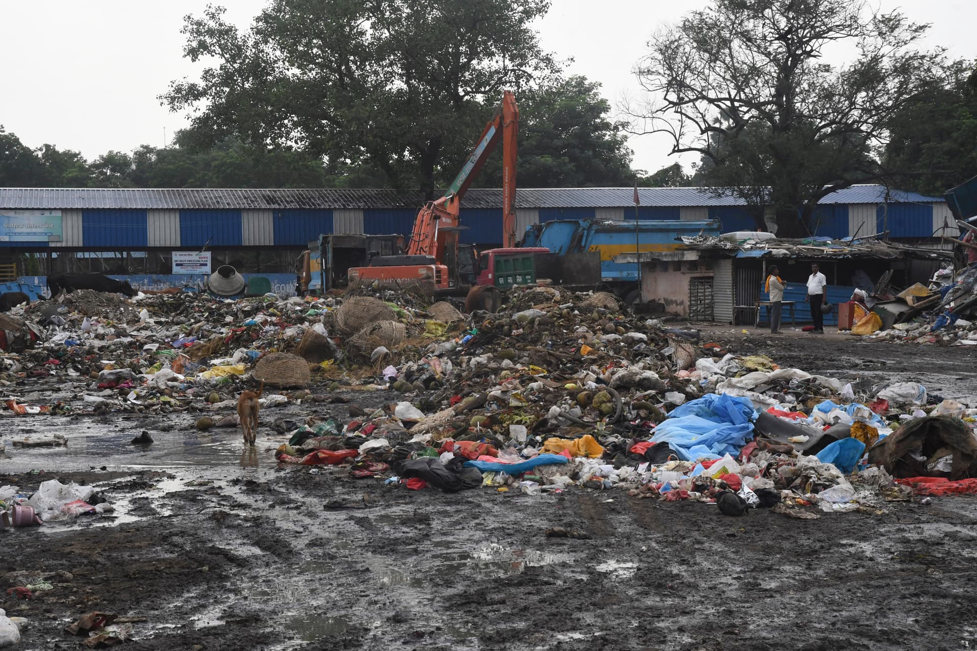 देवघर नगर निगम से पूछ रहे शहरवासी, क्या कचरे से होगा नववर्ष का स्वागत