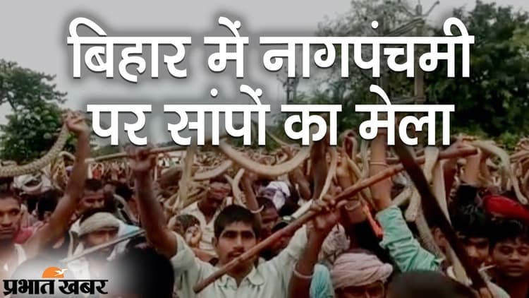 बिहार में नागपंचमी पर अनोखा मेला, बेगूसराय और समस्तीपुर में सांपों का जुलूस, वीडियो देख दंग रह जाएंगे आप