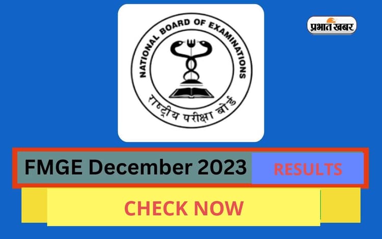 FMGE 2024 Results: फॉरेन मेडिकल ग्रेजुएट दिसंबर एग्जाम के नतीजे हुए जारी, यहां से करें चेक