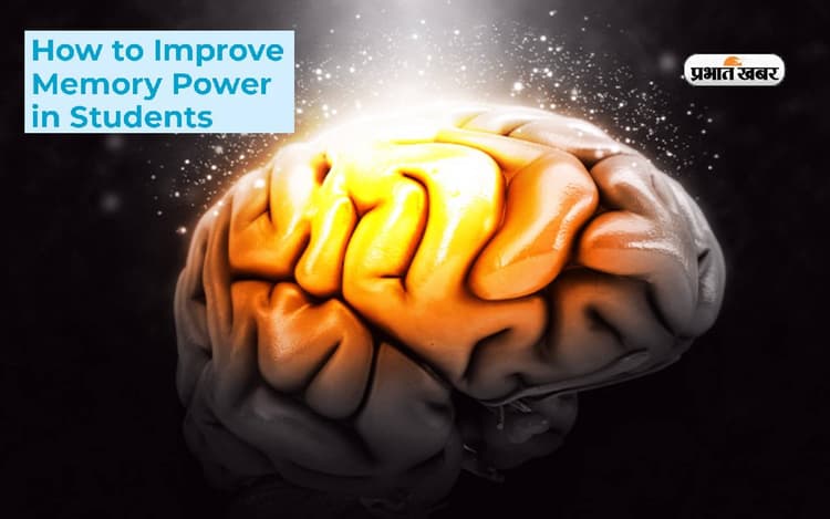 Increase Memory Power: स्मरण शक्ति को बनाएं तेज, इन आदतों को करें शामिल