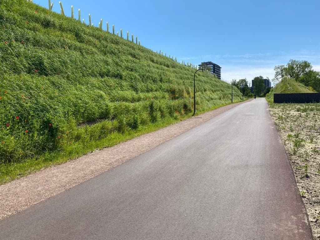 नेपाल और भारत बीच सड़क किनारे बना पहला आरएसएस वॉल, वीरपुर से बिहपुर तक होना है निर्माण