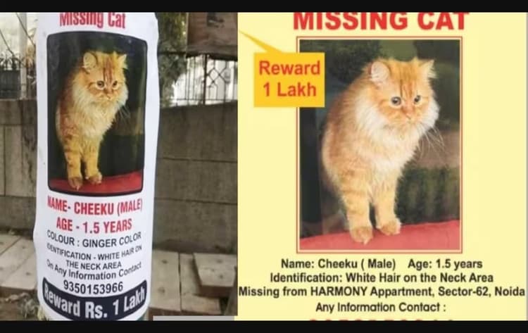 VIRAL: एक चीकू की कीमत 1 लाख रुपये, नोएडा की गलियों में लगा पोस्टर इंटरनेट पर छा गया
