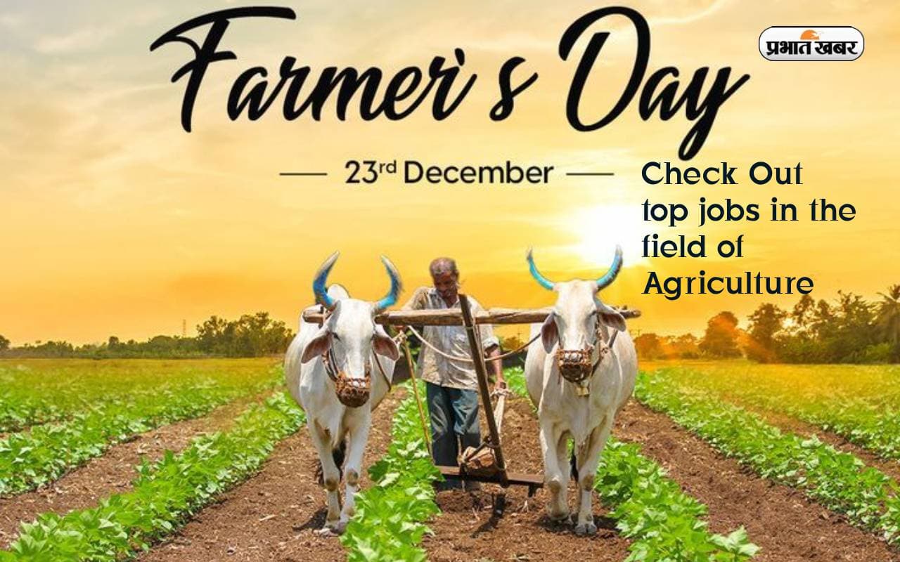 National Farmers Day 2023: राष्ट्रीय किसान दिवस आज, एग्रीकल्चर में बोयें सुनहरे भविष्य के बीज National Farmers Day 2023: राष्ट्रीय किसान दिवस आज, एग्रीकल्चर में बोयें सुनहरे भविष्य के बीज