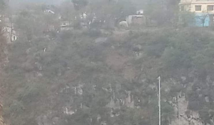 Himachal Pradesh के किसानों को दिखाई चंदन की खेती की राह, लहलहा रहे पांच लाख से अधिक पौधे