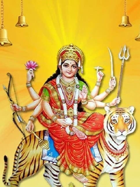 गुप्त नवरात्रि का व्रत कर रहे हैं तो यह काम बिलकुल ना करें