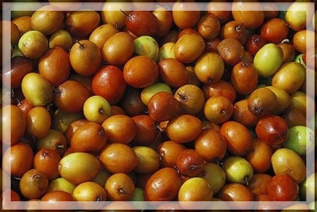 साल में केवल एक महीने मिलता है यह फल, वजन घटाने के साथ कैंसर में भी करता है काम