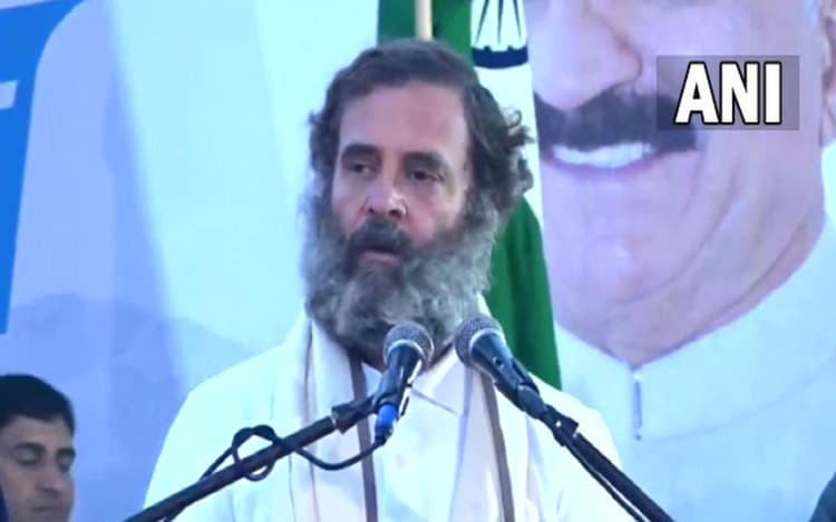 Bharat Jodo Yatra: घने कोहरे के बीच राहुल गांधी की यात्रा हिमाचल से शुरू, चर्चित सफेद टी-शर्ट में आये नजर