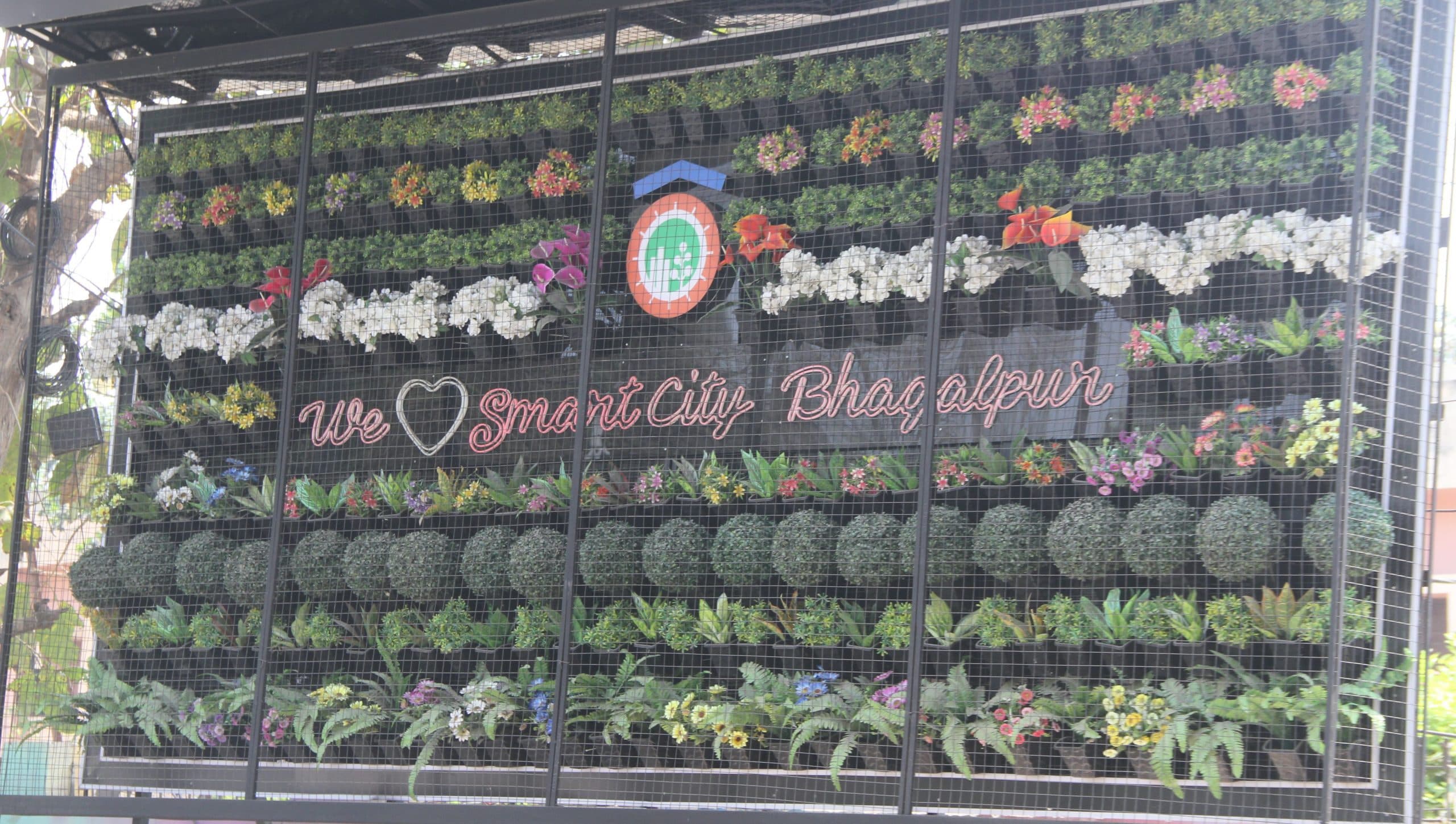 Bhagalpur News: नाम रखा स्मार्ट सिटी ग्रीन जोन, वर्टिकल गार्डन में लटका दिये प्लास्टिक के फूल