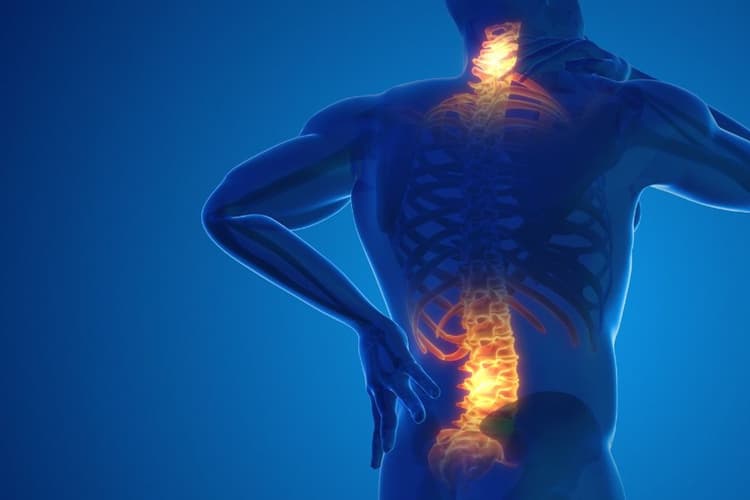 Life & Style : ऑफिस में काम के दौरान सही पोस्चर पर दें ध्यान, वरना बैक पेन कर सकता है आपको परेशान