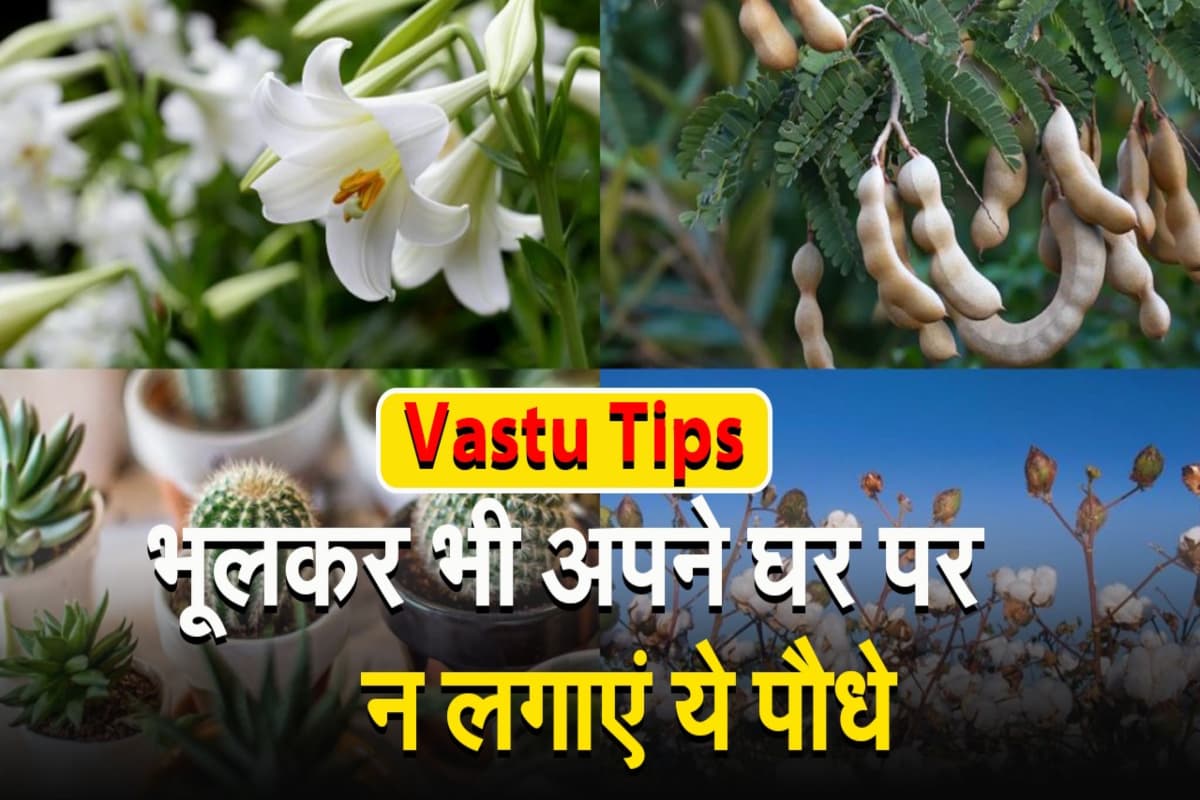 Vastu Tips: घर पर भूलकर भी न लगाएं ये पौधे, धन का होगा नुकसान