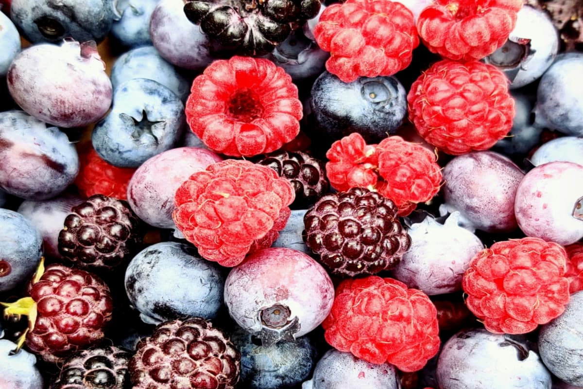 Healthy Diet Tips: एग्स से लेकर बेरीज तक, बेली फैट को कम करने के लिए ये हैं बेस्ट लॉ कार्ब फूड्स