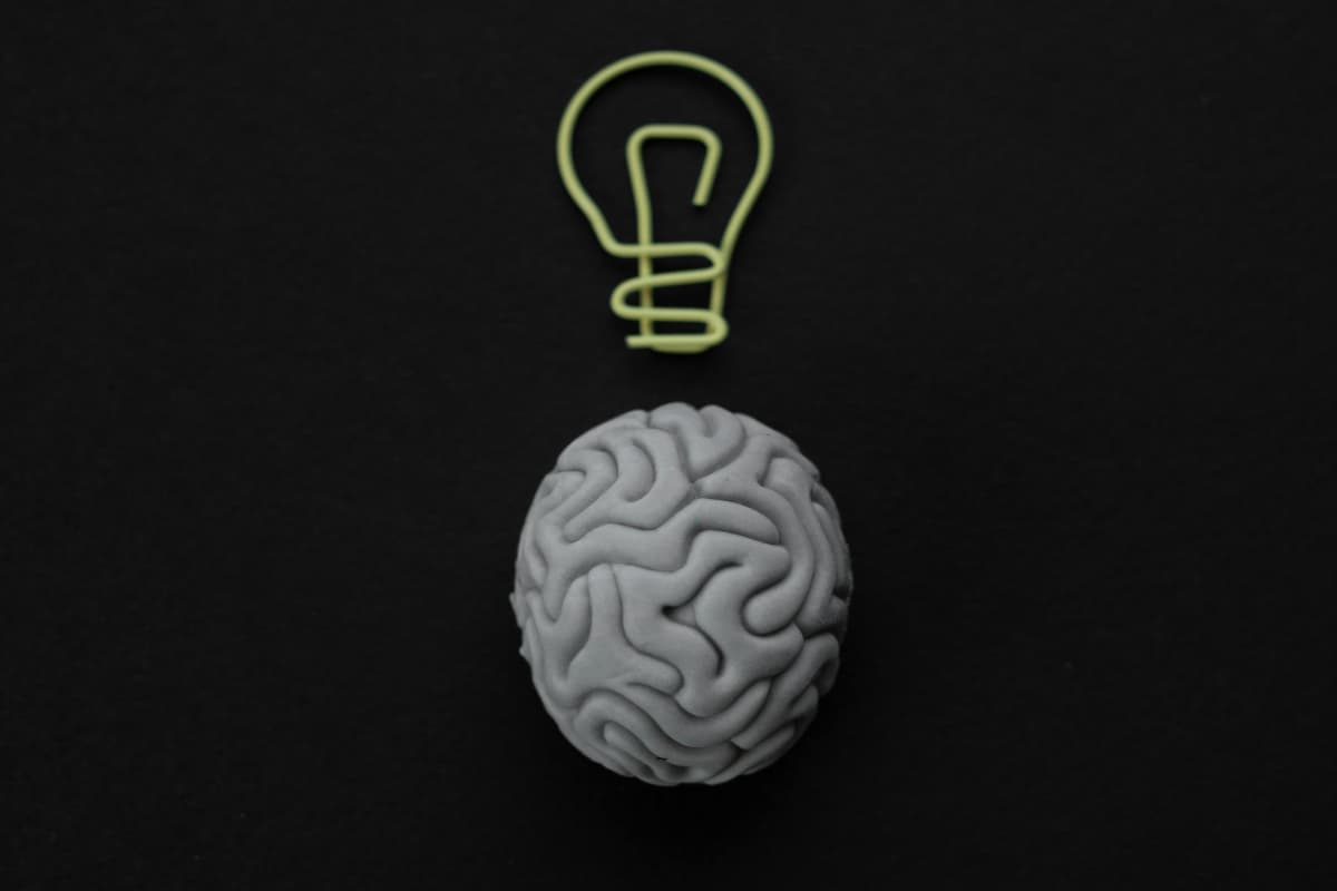 Memory Boosting Dry Fruits: ये ड्राई फ्रूट्स आपके ब्रेन को बनाएंगे शार्प, याददाश्त भी होगी मजबूत