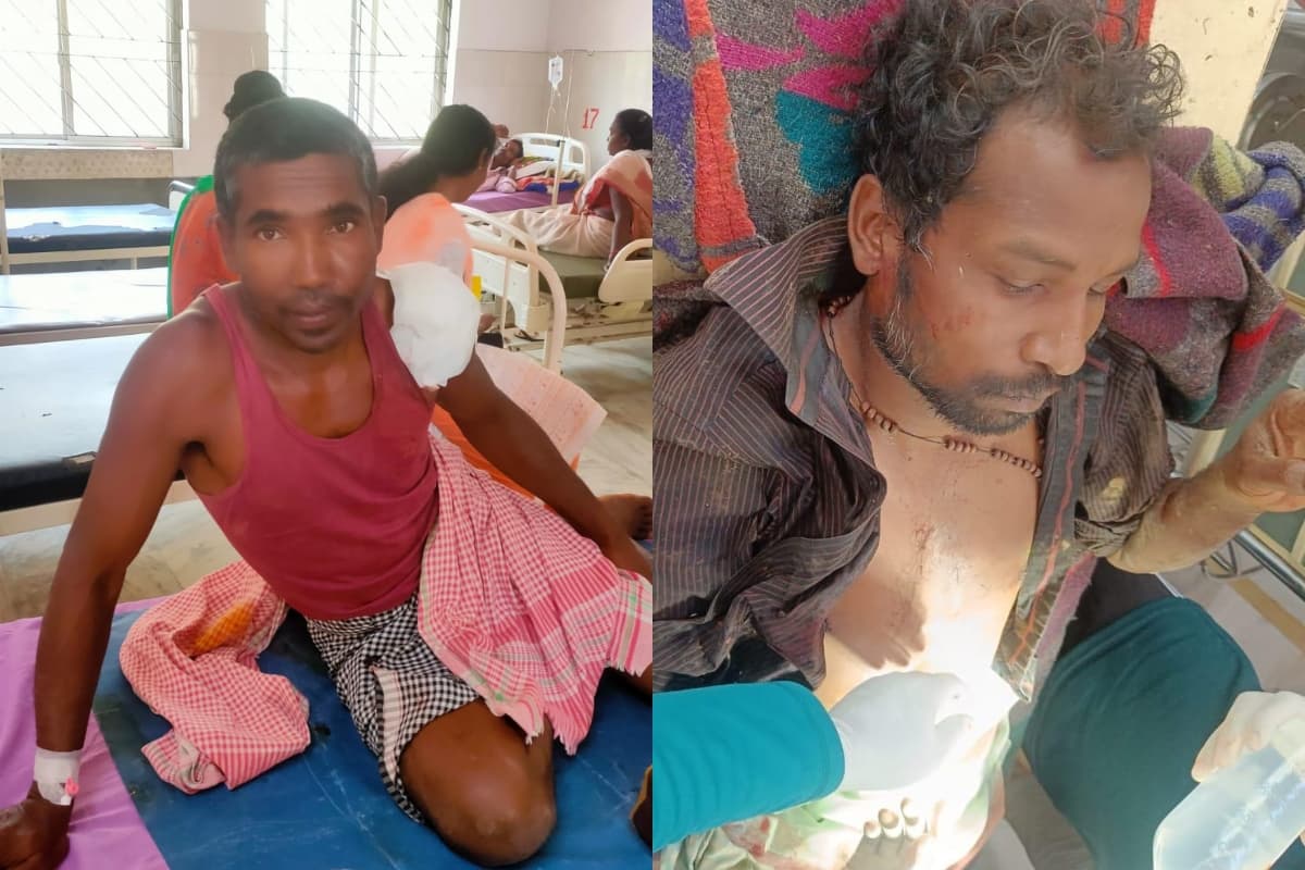 होली के दिन सिमडेगा में जंगली सूअर ने मचाया आतंक, हमले में एक की मौत