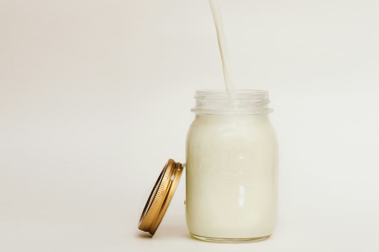 Real and Fake Identification: जब नकली मिलना हो आम बात, तो कैसे करें असली दूध और पनीर की पहचान