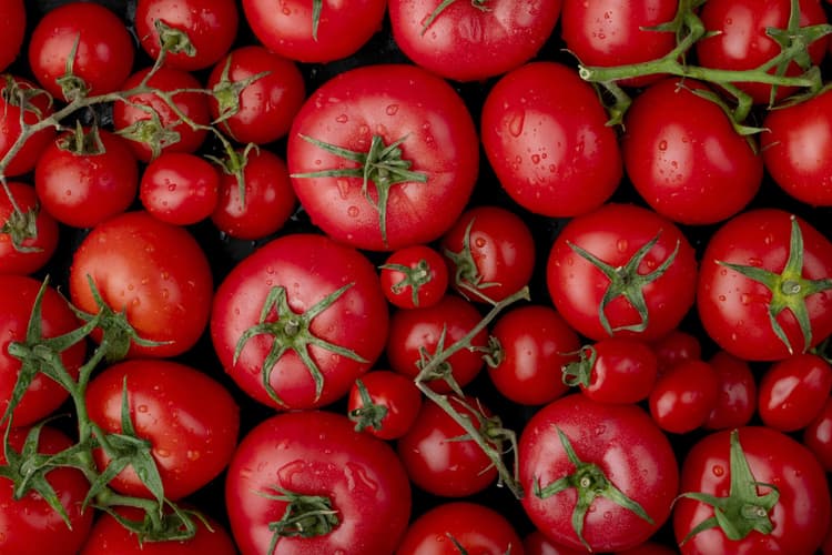 Tomato Price : आम जनता के लिए सरकार लाई खुशखबरी, दिल्ली मे मिलेंगे 50 रुपये किलो टमाटर