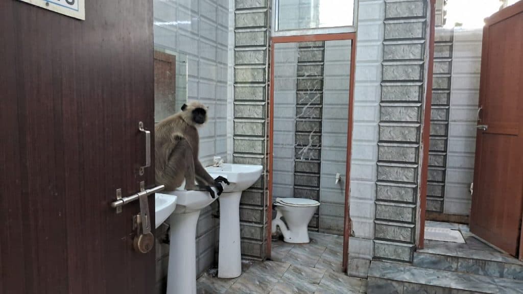 ape at tatanagar station