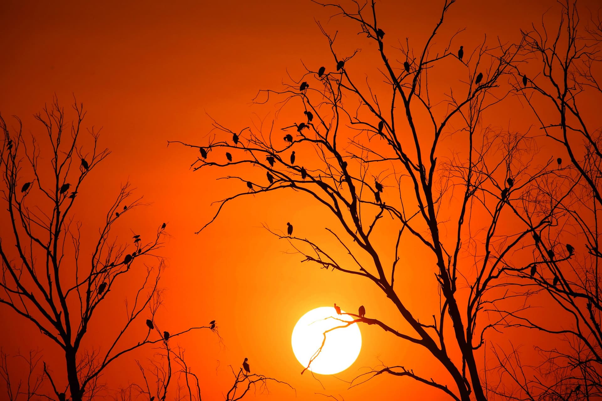 Weather Forecast: दिल्ली-एनसीआर में बारिश, झारखंड में बदलेगा मौसम, जानें अन्य राज्यों के मौसम का हाल