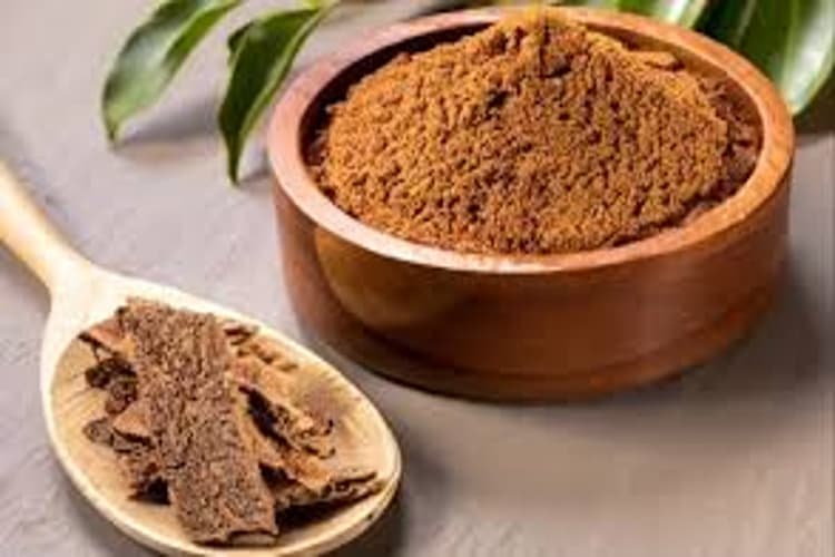 Arjuna Chaal Benefits: आयुर्वेद के अनुसार इन बीमारियों के लिए रामबाण है अर्जुन की छाल, जानें कैसे बनाएं काढ़ा