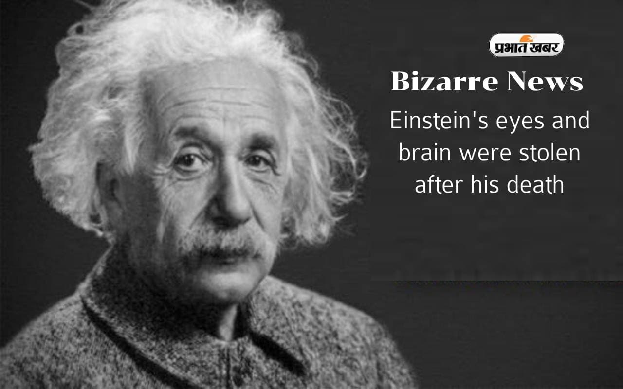Bizarre News: अल्बर्ट आइंस्टीन की आंखें और दिमाग हैं अब तक सुरक्षित Bizarre News: अल्बर्ट आइंस्टीन की आंखें और दिमाग हैं अब तक सुरक्षित