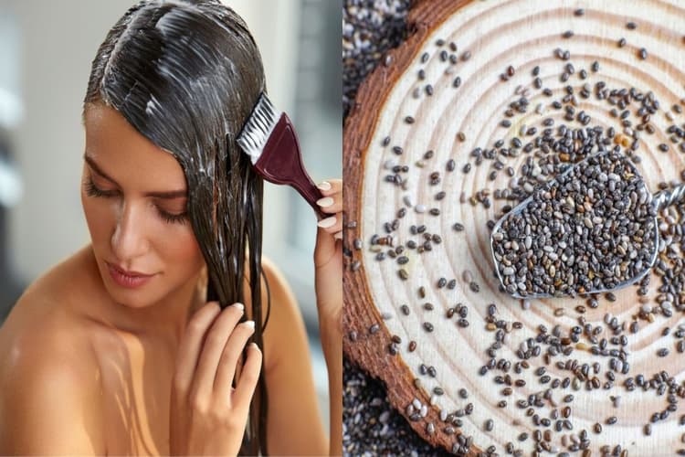 Chia Seeds Benefits For Hair: गर्मियों में ऐसे करें बालों की देखभाल, जानिए कैसे लगाएं चिया सीड्स, क्या है इसके फायदे