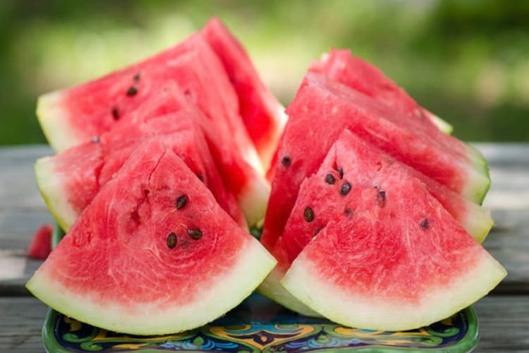 Watermelon Seeds Benefits For Health: कैसे करें तरबूज के बीजों का हेल्थ के लिए इस्तेमाल, जानिए इसके फायदे