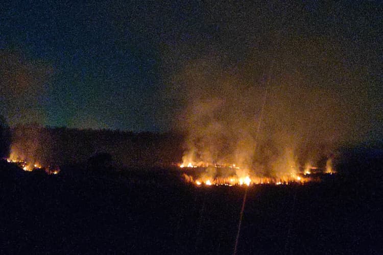 World Earth Day 2024: बोकारो में हरियाली तो बढ़ी, लेकिन भूमिगत जल की स्थिति गंभीर, नदियां प्रदूषित