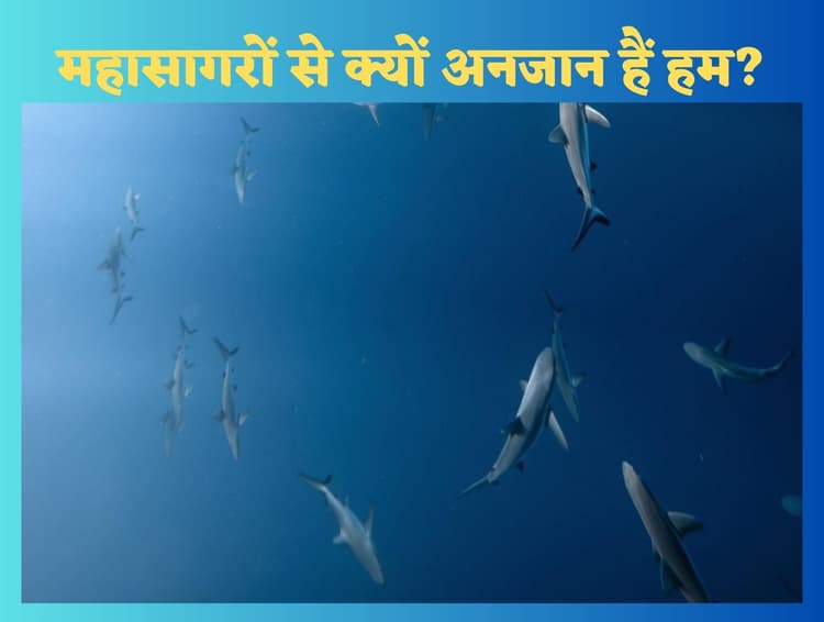 Oceans Of The World : महासागरों से अब तक अनजान क्यों हैं हम, क्यों समुद्रतल तक जा पाना होता है मुश्किल