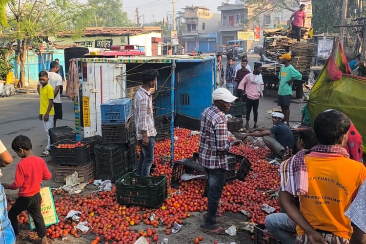 गिरिडीह सड़क हादसा : टमाटर से लदा पिकअप वैन पलटा, लोगों ने जमकर लूटे टमाटर
