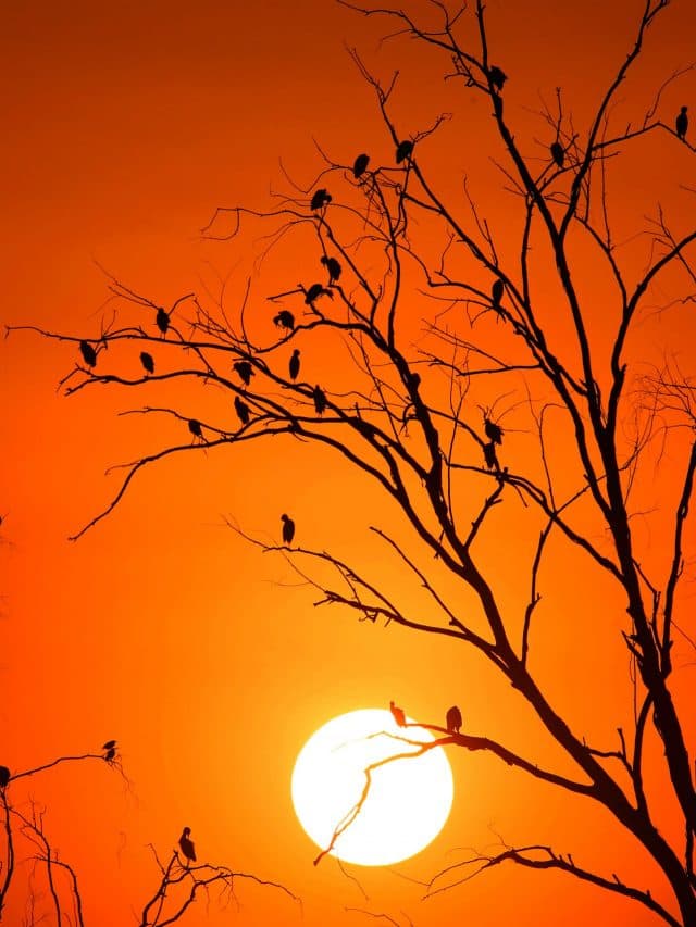 Heat Wave : हीट वेव से नहीं मिलेगी अभी राहत