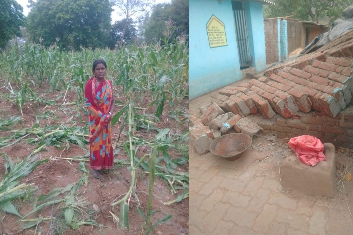बोकारो के भस्की गांव में फिर हाथियों ने मचाया उत्पात, पूर्व मुखिया के घर की चहारदीवारी तोड़ी व फसलों को रौंदा