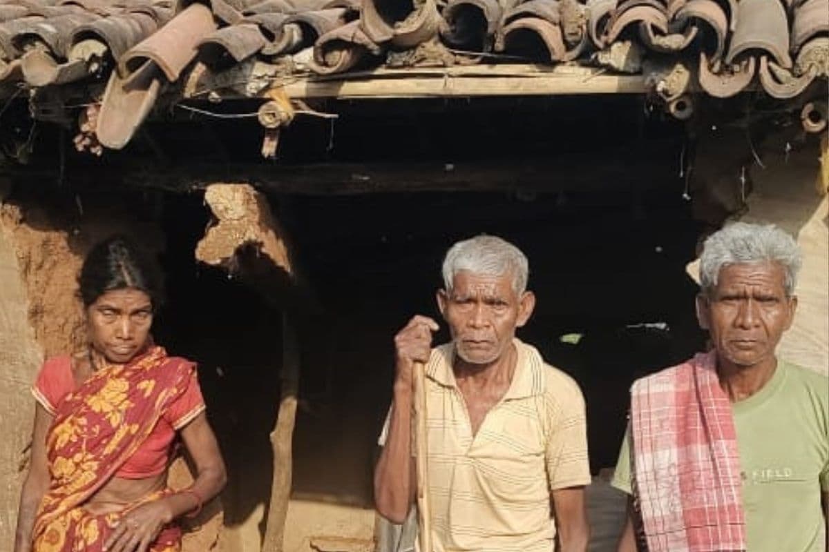 बोकारो में हाथियों के झुंड ने मचाया उत्पात, कई घरों को किया क्षतिग्रस्त, खेतों में लगी फसलों को रौंदा