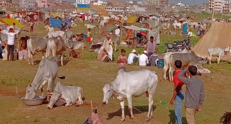 प्रसिद्ध रामनवमी पशु मेला के अस्तित्व पर छाया संकट