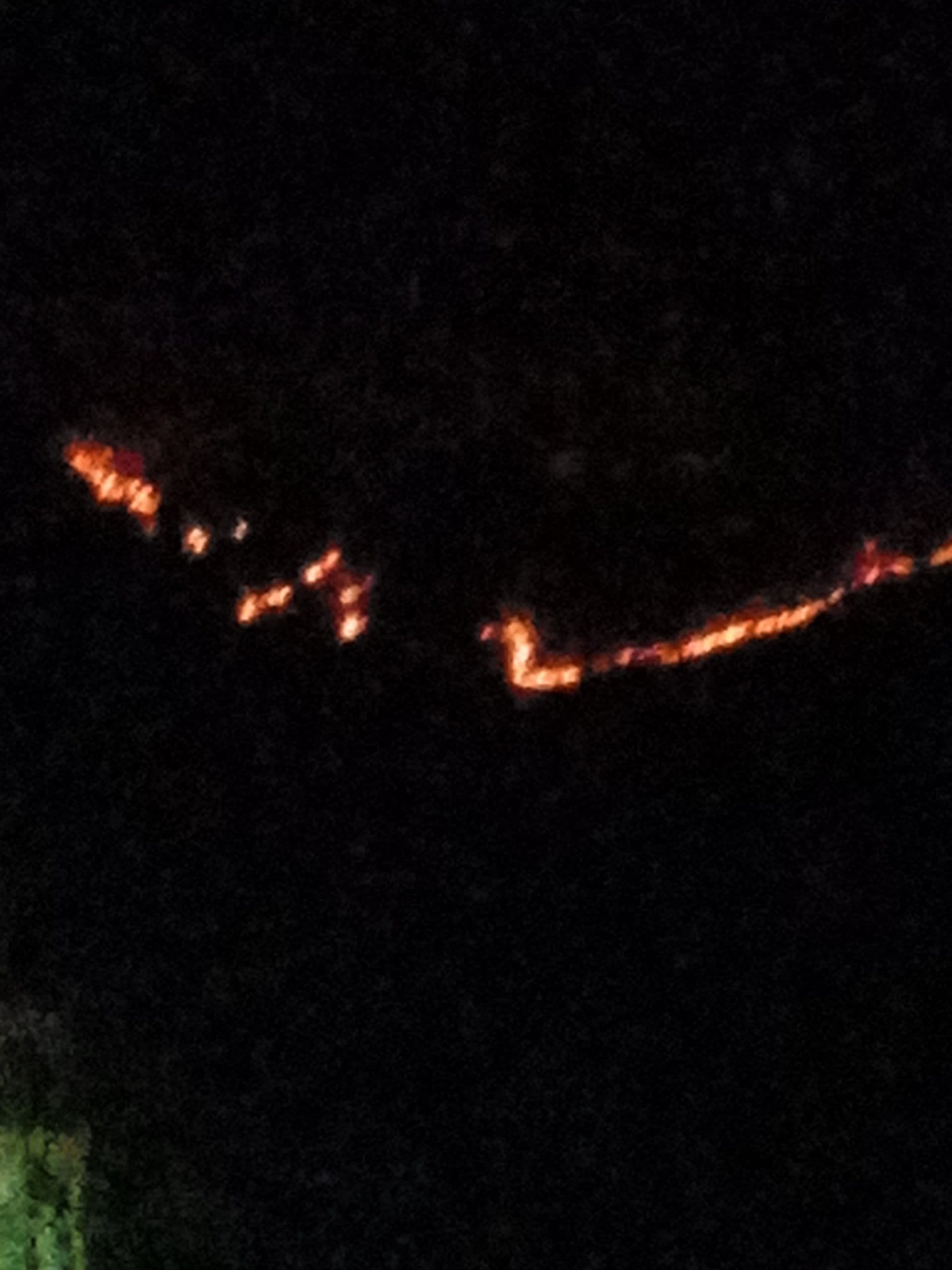 बंगाल के जंगलों से होकर भस्की पहुंची आग की लपटें