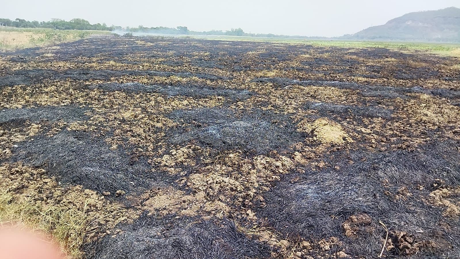 डिहारी में गेहूं की फसल में लगी आग, जलकर खाक