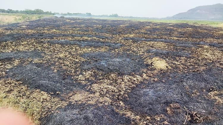 डिहारी में गेहूं की फसल में लगी आग, जलकर खाक