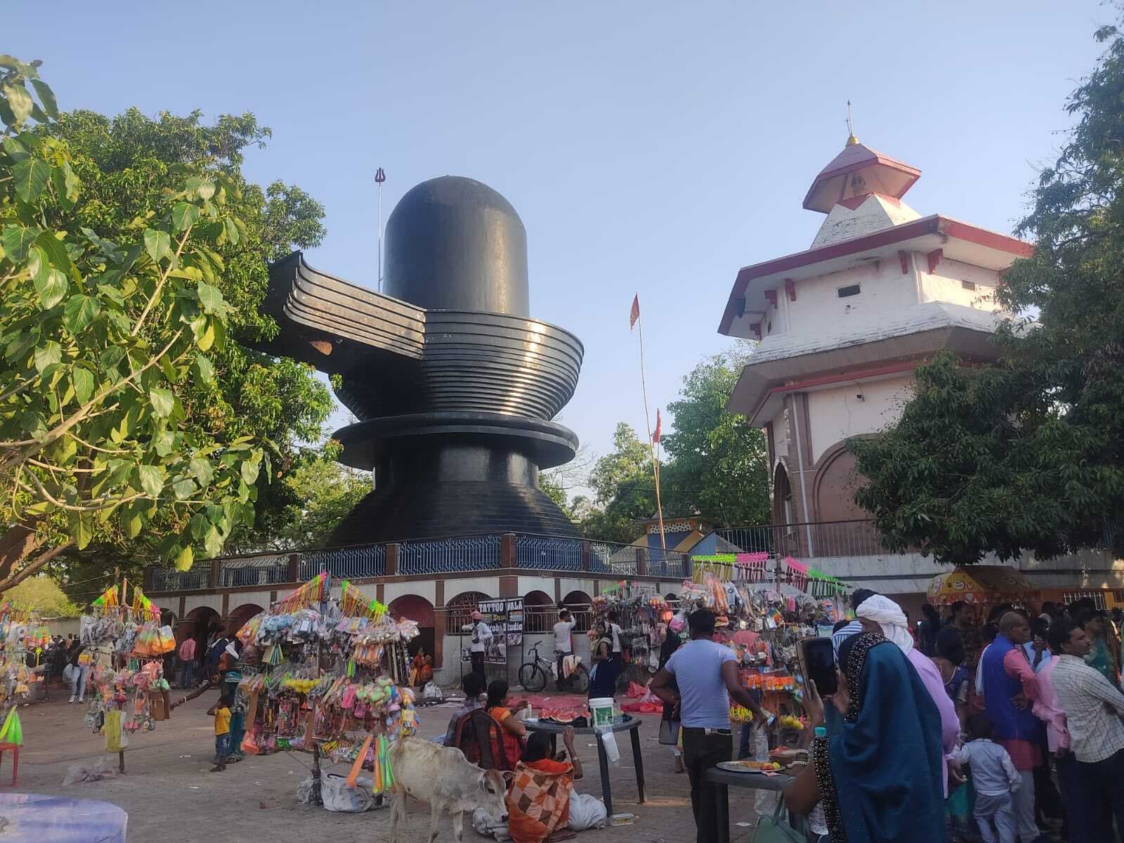 हरिहरधाम में अप्रैल माह में अभी तक तीन सौ जोड़ियों का हुआ विवाह