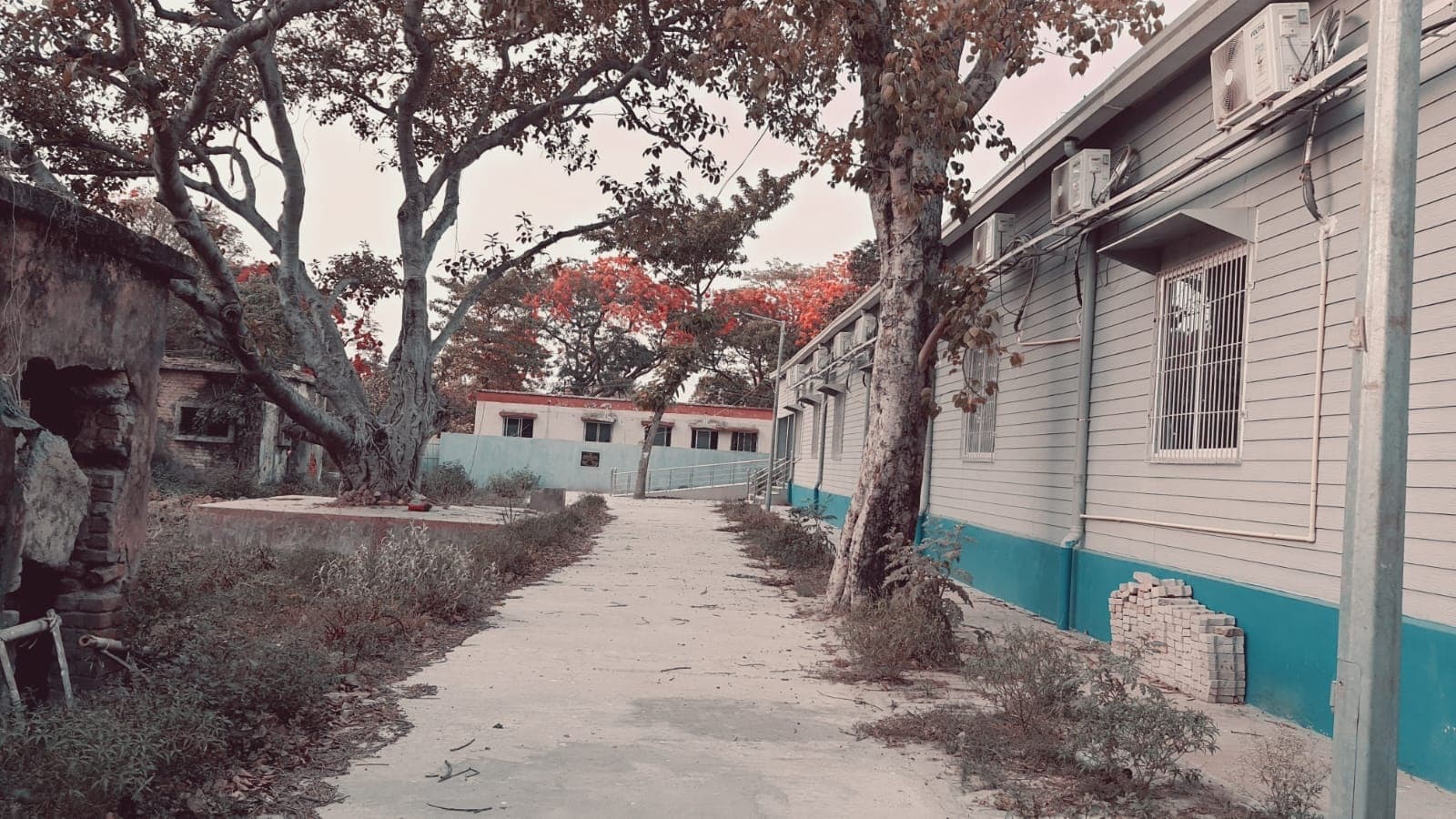 बंद पड़ा पीकू वार्ड इस्तेमाल और देखरेख के अभाव में तोड़ रहा दम