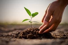 World Earth Day: व्यक्तिगत और सामूहिक स्तर पर पौधरोपण की जरुरत
