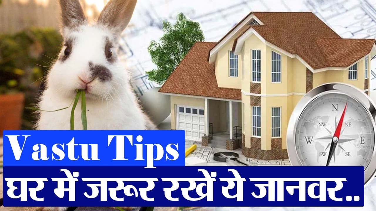 Vastu Tips: घर में रखें ये जानवर, खुल जाएंगे भाग्य के द्वार
