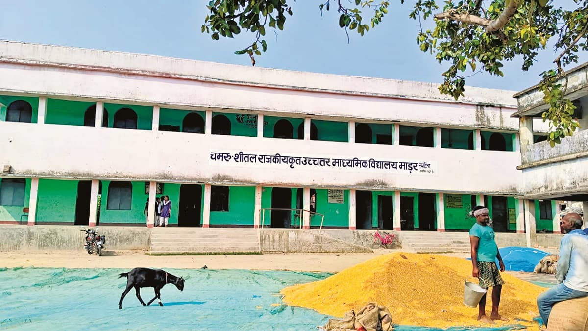 Khagaria News : स्कूल परिसर में ग्रामीण सुखाते हैं मक्का, चराते हैं मवेशी