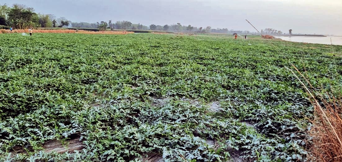 Digital Land Record: बिहार में इस साल से सभी जमीन रिकॉर्ड्स होंगे डिजिटल, ऐसे कर सकते हैं चेक