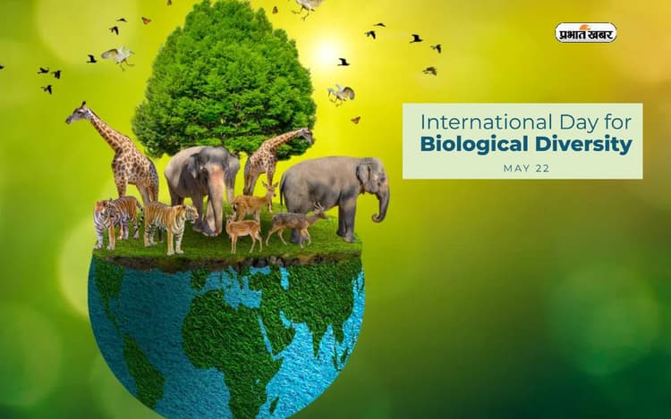 International Day For Biological Diversity 2024 आज, जानें क्या है इस साल कि थीम