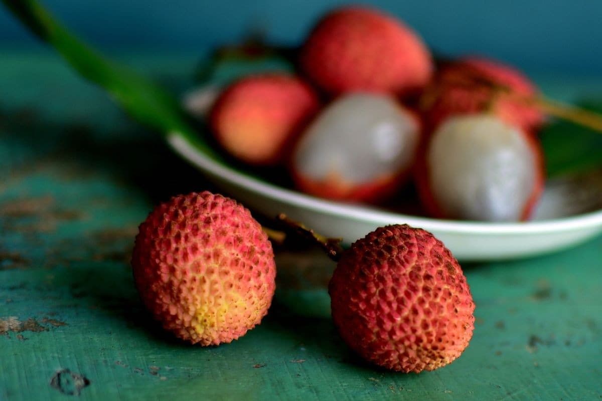 Lychee fruit: लीची खाने के 6 बड़े फायदे
