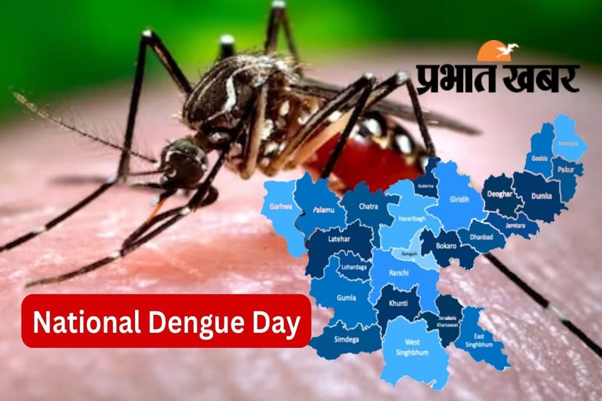 National Dengue Day: राष्ट्रीय डेंगू दिवस आज, जानिए डेंगू बुखार का देसी इलाज National Dengue Day: राष्ट्रीय डेंगू दिवस आज, जानिए डेंगू बुखार का देसी इलाज