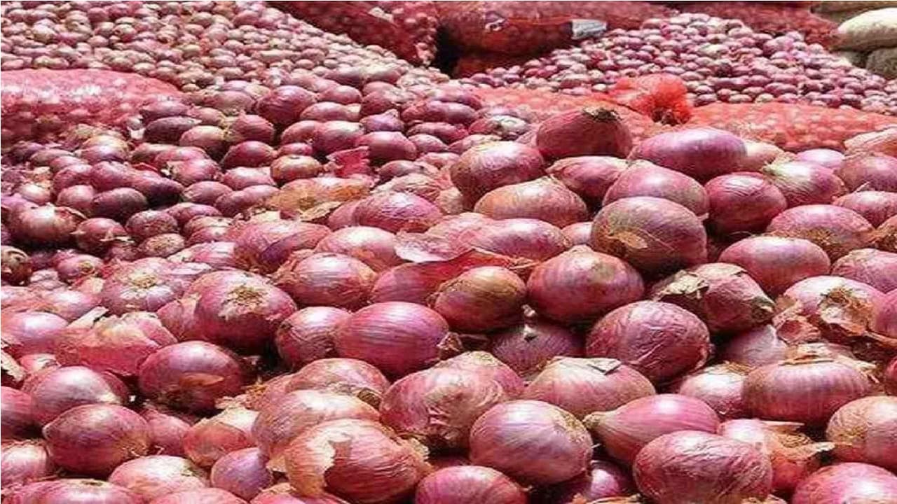 Onion: मानसून में भी नहीं बढ़ेगी प्याज की कीमत, सरकार कह रही ये बात