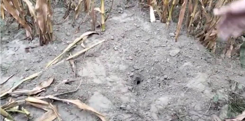 Bihar News: खगड़िया में युवती की हत्या करके खेत में गाड़ा शव, पुलिस सुलझाएगी हत्या की गुत्थी