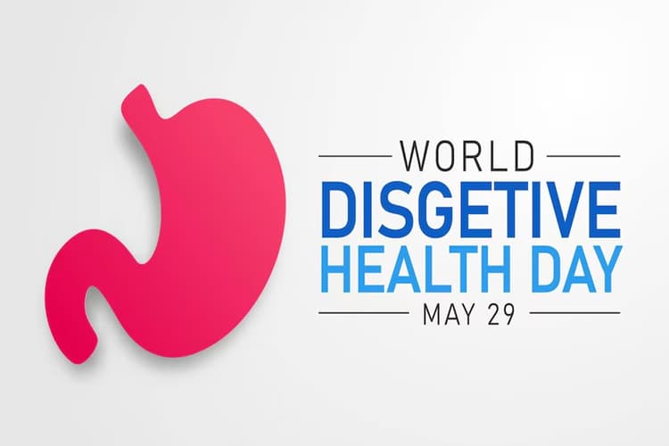 World Digestive Health Day: पहली बार कब मनाया गया था विश्व पाचन स्वास्थ्य दिवस, जानिए महत्व और थीम