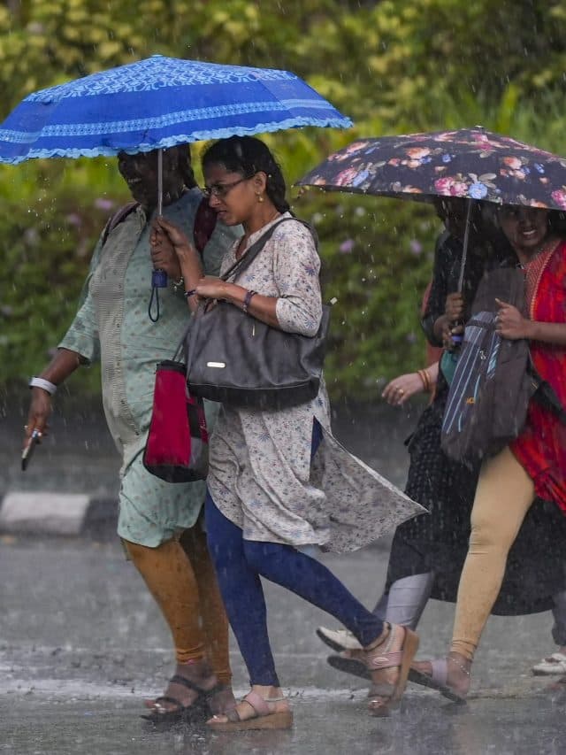 Monsoon 2024 : इस साल पहले पहुंचेगा मानसून? मौसम विभाग ने दी जानकारी
